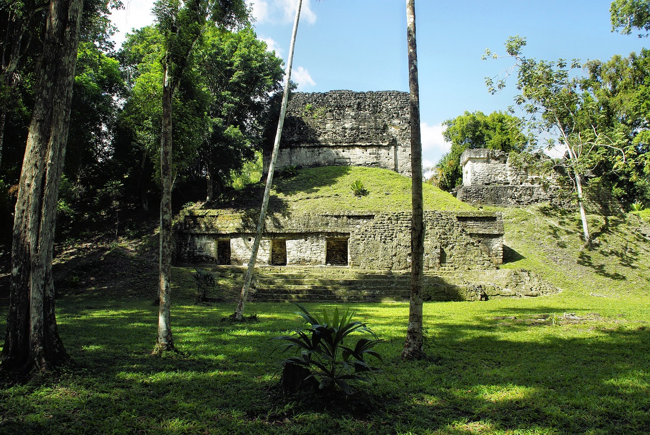 The Enigma of the Ancient Maya's Political Systems